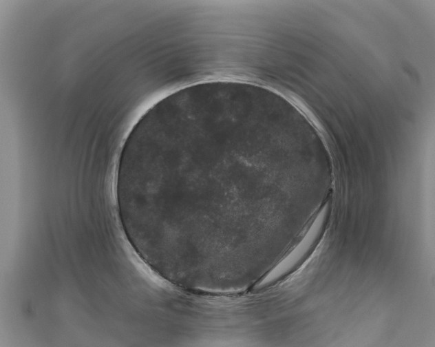 X0000111191246200907081249