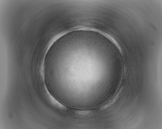 X0000111191247200907081249