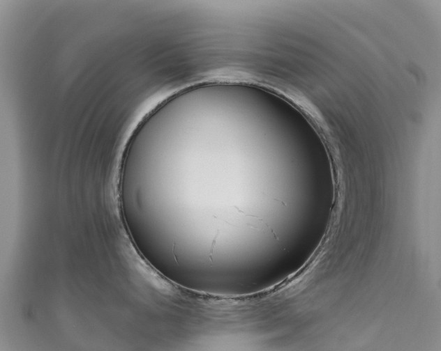 X0000111191248200907081249