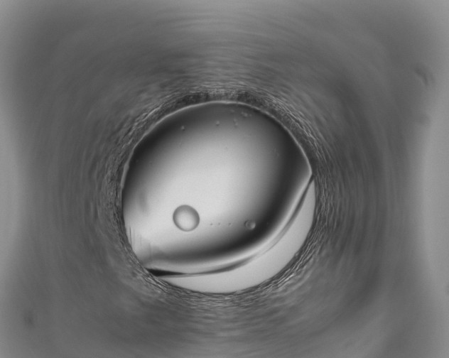 X0000111191249200907081249