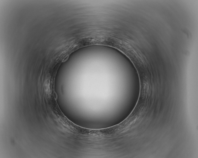 X0000111191250200907081249