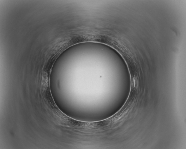 X0000111191251200907081249