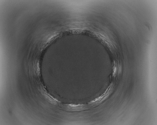 X0000111191252200907081249