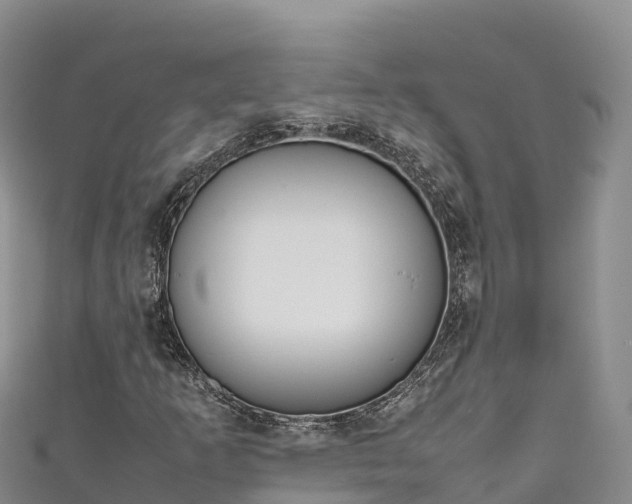 X0000111191253200907081249