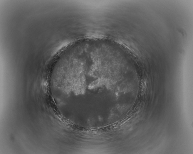 X0000111191254200907081249