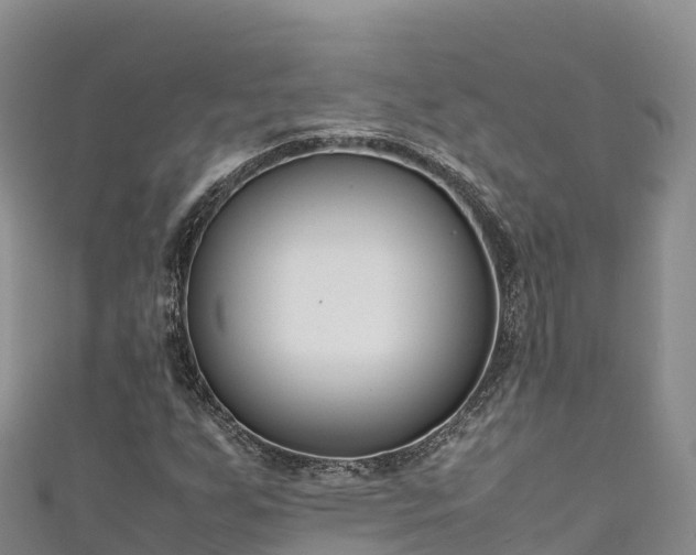 X0000111191255200907081249