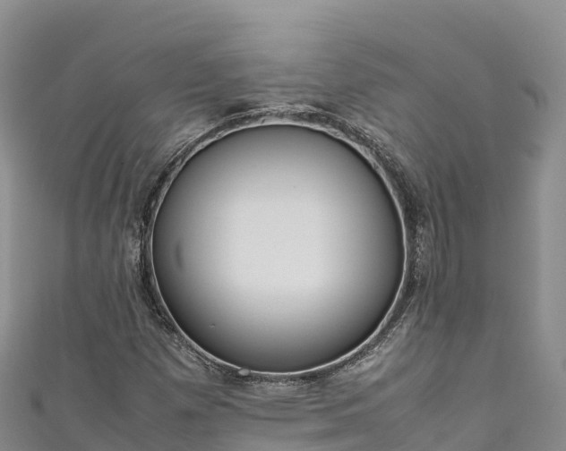 X0000111191257200907081249