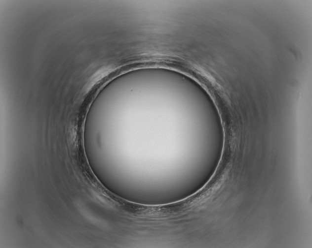 X0000111191259200907081249