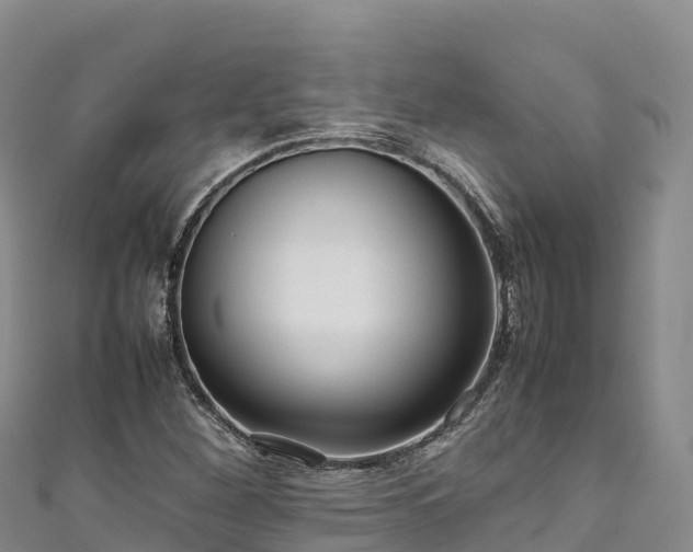 X0000111191260200907081249