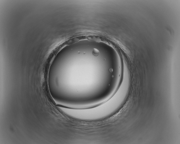 X0000111191261200907081249