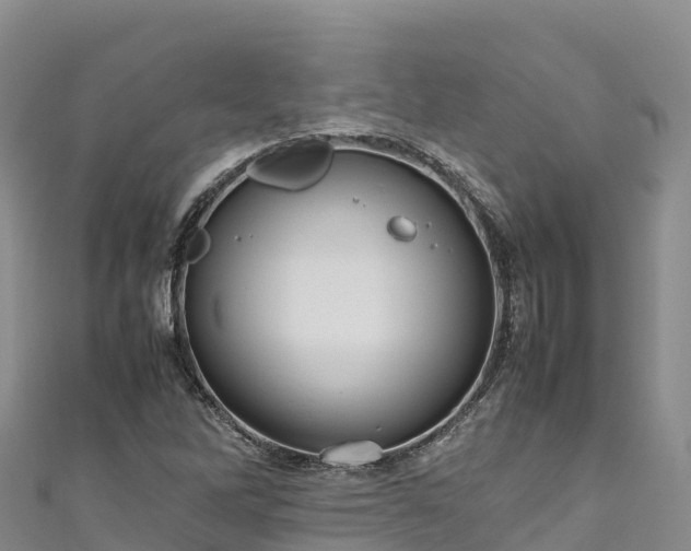 X0000111191262200907081249