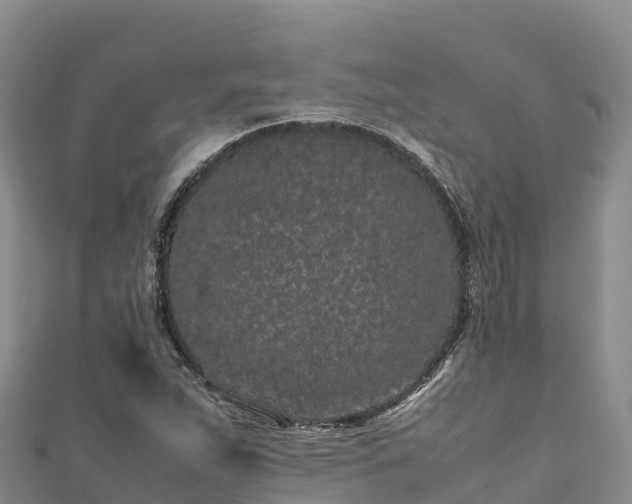 X0000111191263200907081249