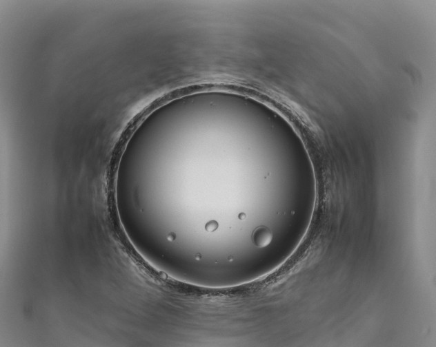 X0000111191264200907081249