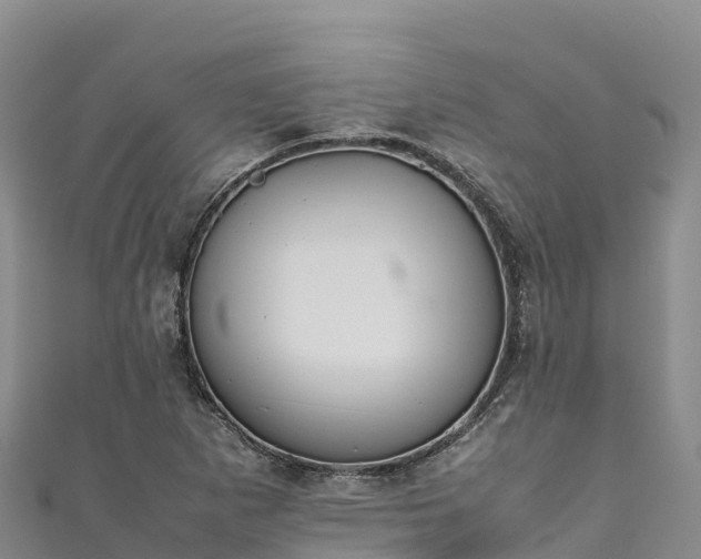 X0000111191265200907081249