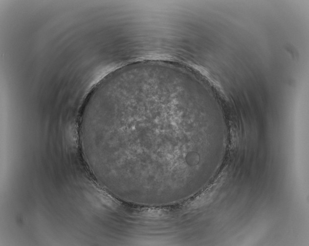 X0000111191266200907081249