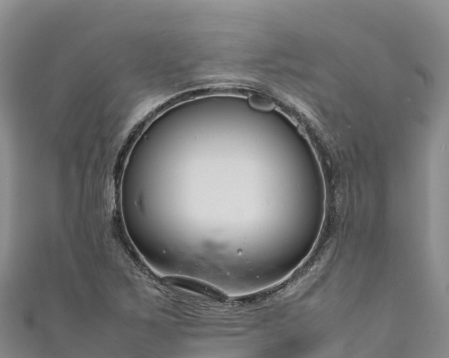 X0000111191267200907081249