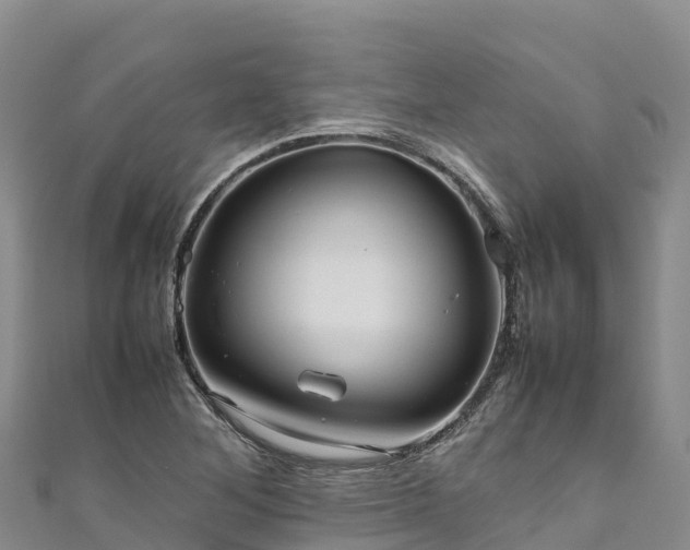 X0000111191268200907081249