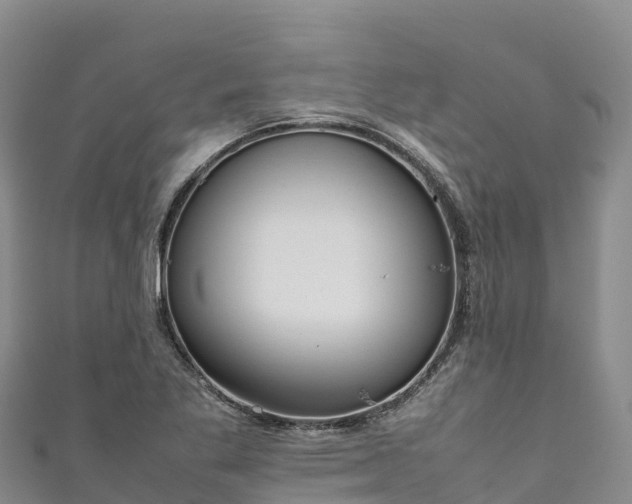 X0000111191269200907081249