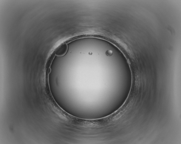 X0000111191270200907081249