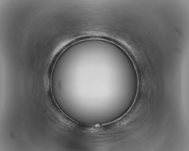 X0000111191271200907081248