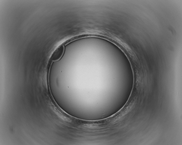 X0000111191272200907081248