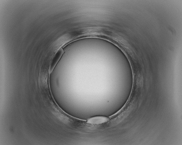 X0000111191273200907081248