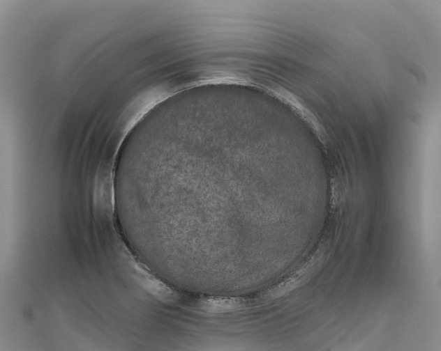 X0000111191274200907081248