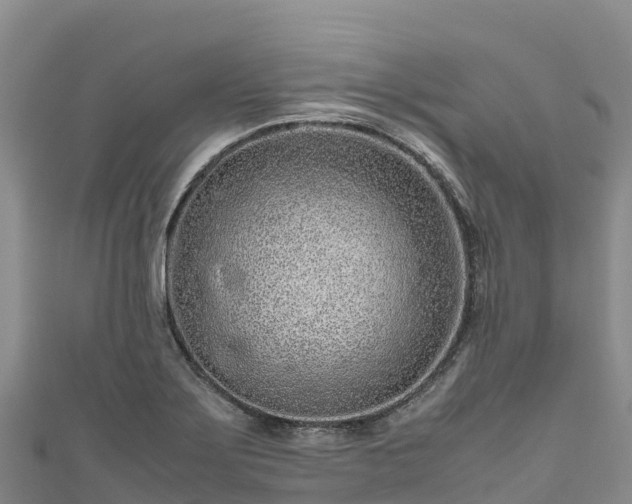 X0000111191275200907081248