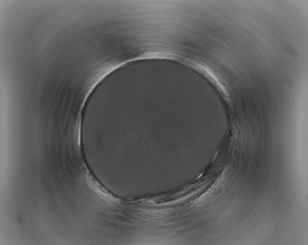 X0000111191276200907081248