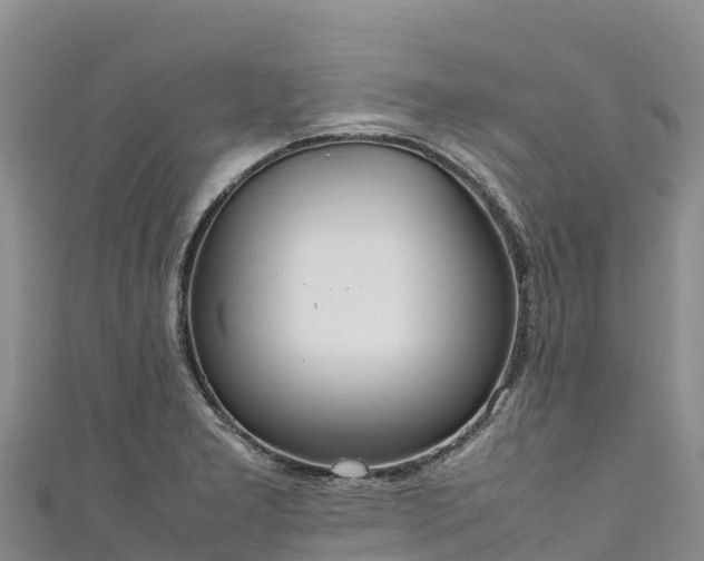 X0000111191277200907081248