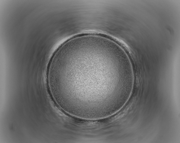 X0000111191279200907081248