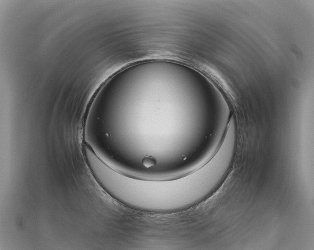 X0000111191284200907081248