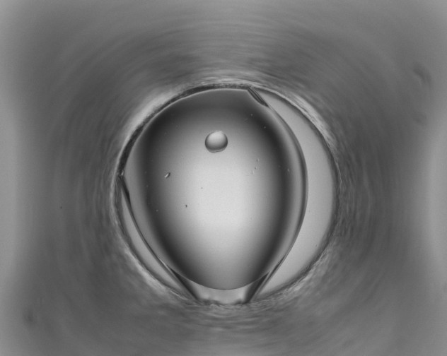 X0000111191285200907081248