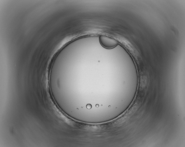 X0000111191286200907081248