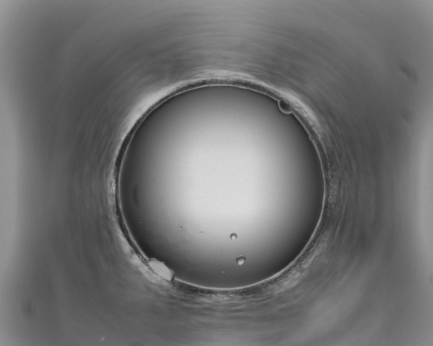 X0000111191287200907081248