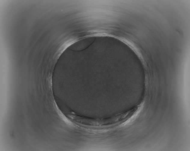 X0000111191289200907081248