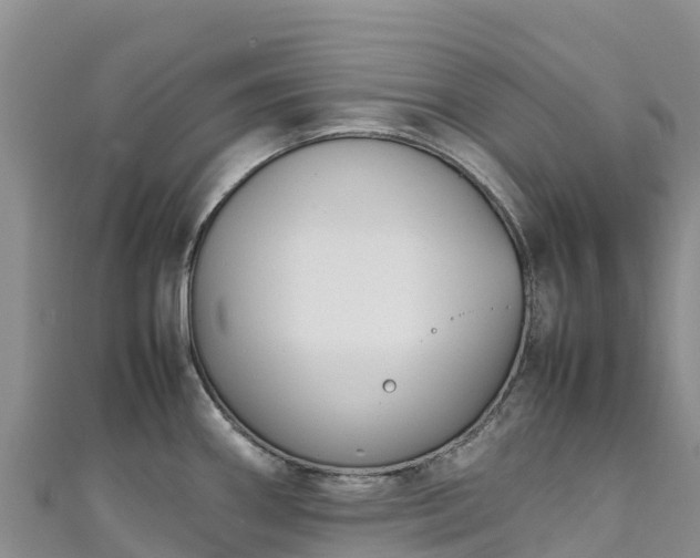 X0000111191290200907081248