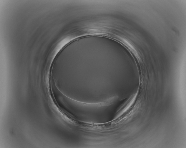 X0000111191291200907081248