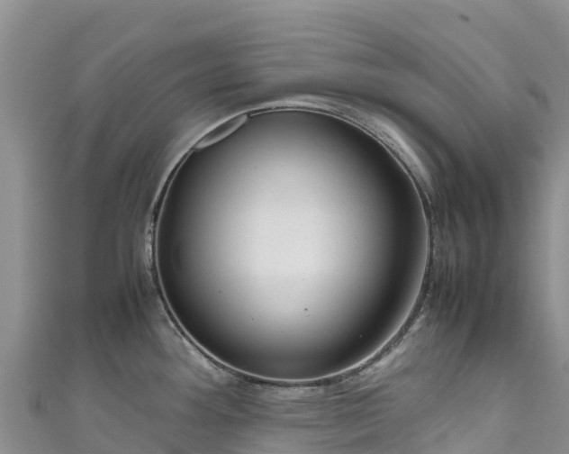 X0000111191292200907081248