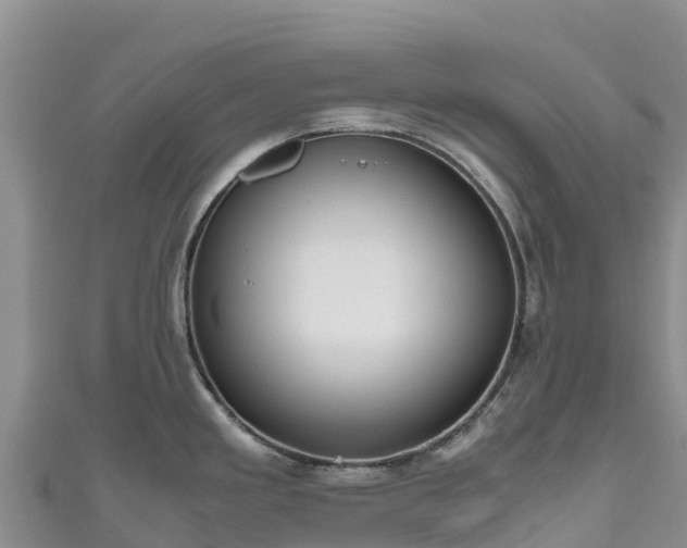 X0000111191293200907081248