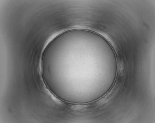 X0000111191294200907081248