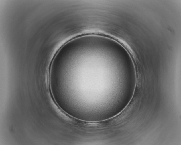 X0000111191295200907081248