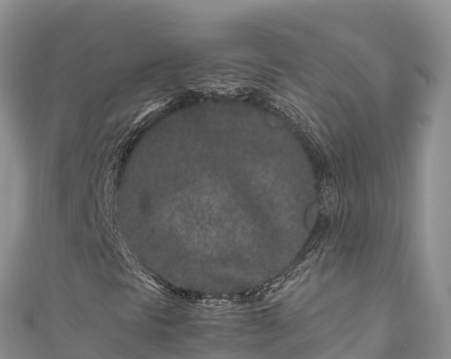 X0000111191297200907081248