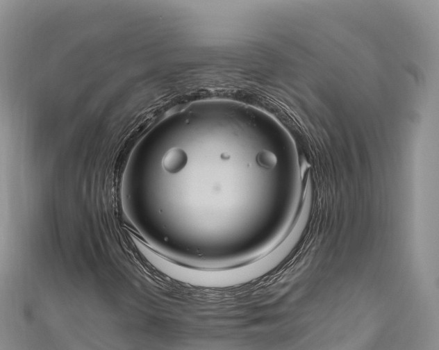 X0000111191298200907081248