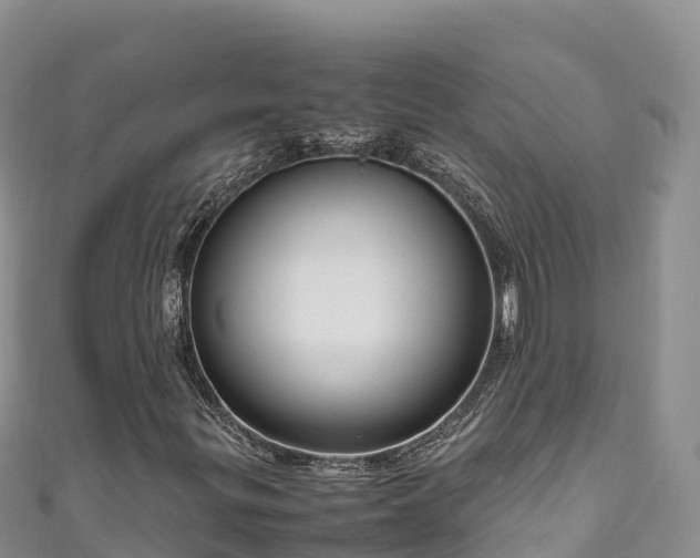 X0000111191299200907081248