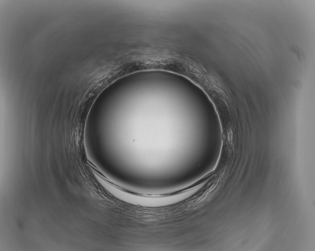 X0000111191300200907081248