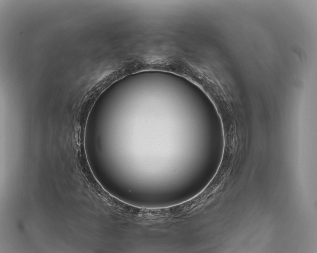 X0000111191301200907081248