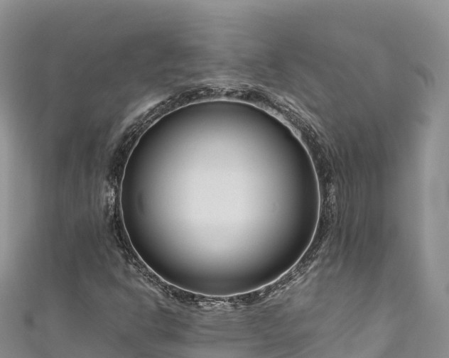 X0000111191302200907081248