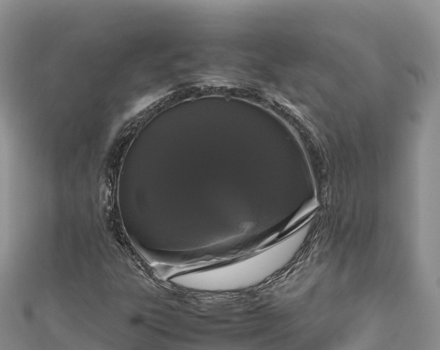 X0000111191303200907081248