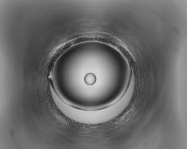 X0000111191304200907081248